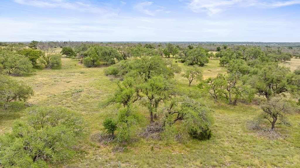 219.46 acres in Gillespie County - photo 51