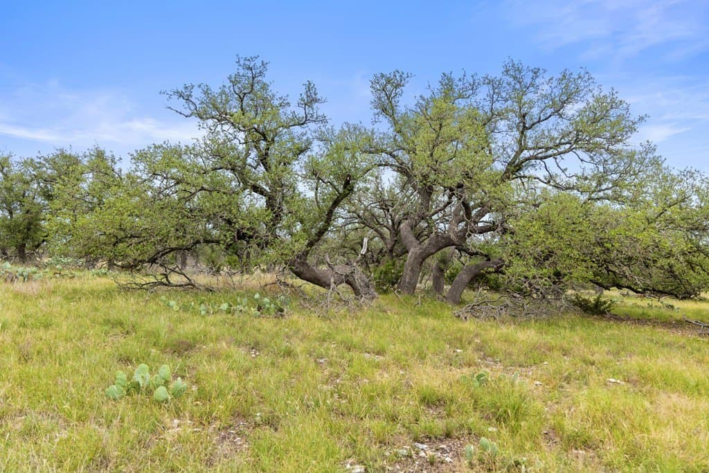 219.46 acres in Gillespie County - photo 25