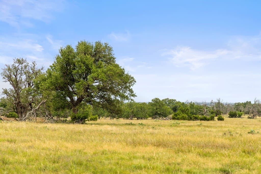 219.46 acres in Gillespie County - photo 60