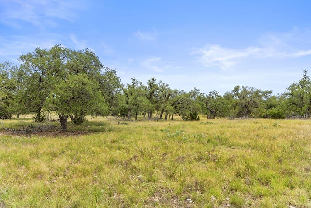 219.46 acres in Gillespie County - photo 26