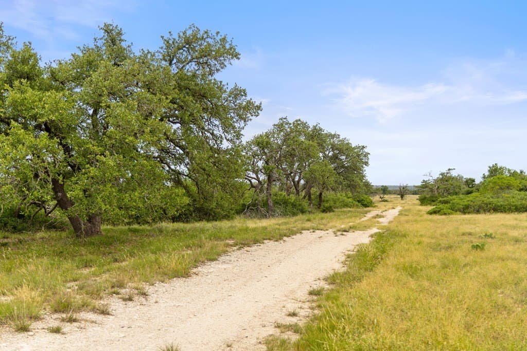 219.46 acres in Gillespie County - photo 63