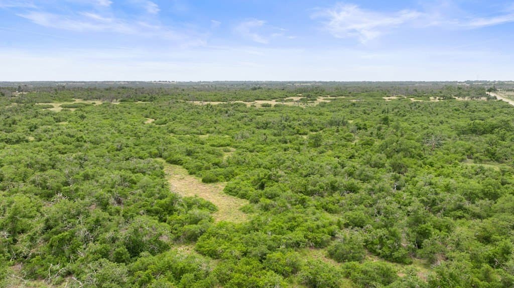 219.46 acres in Gillespie County - photo 14