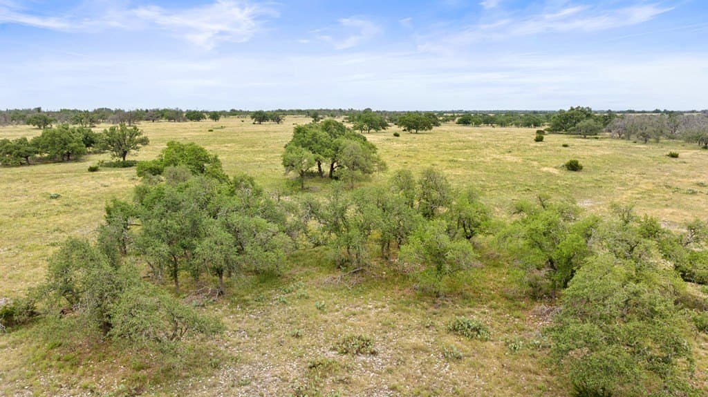 219.46 acres in Gillespie County - photo 48