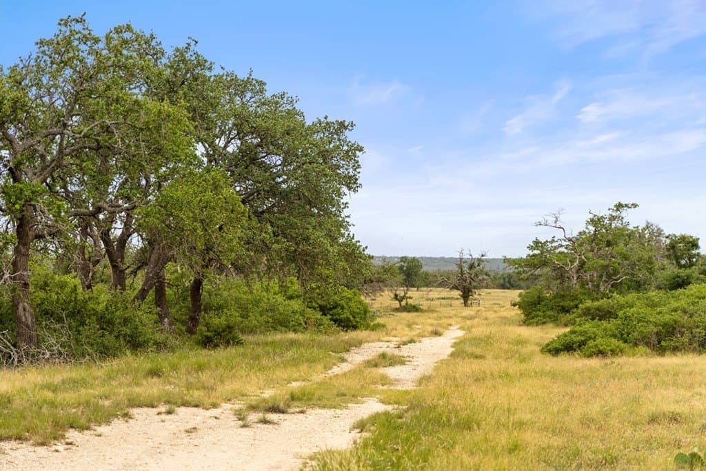 219.46 acres in Gillespie County - photo 64