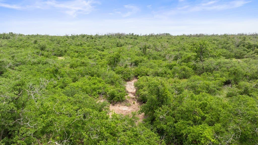 219.46 acres in Gillespie County - photo 8