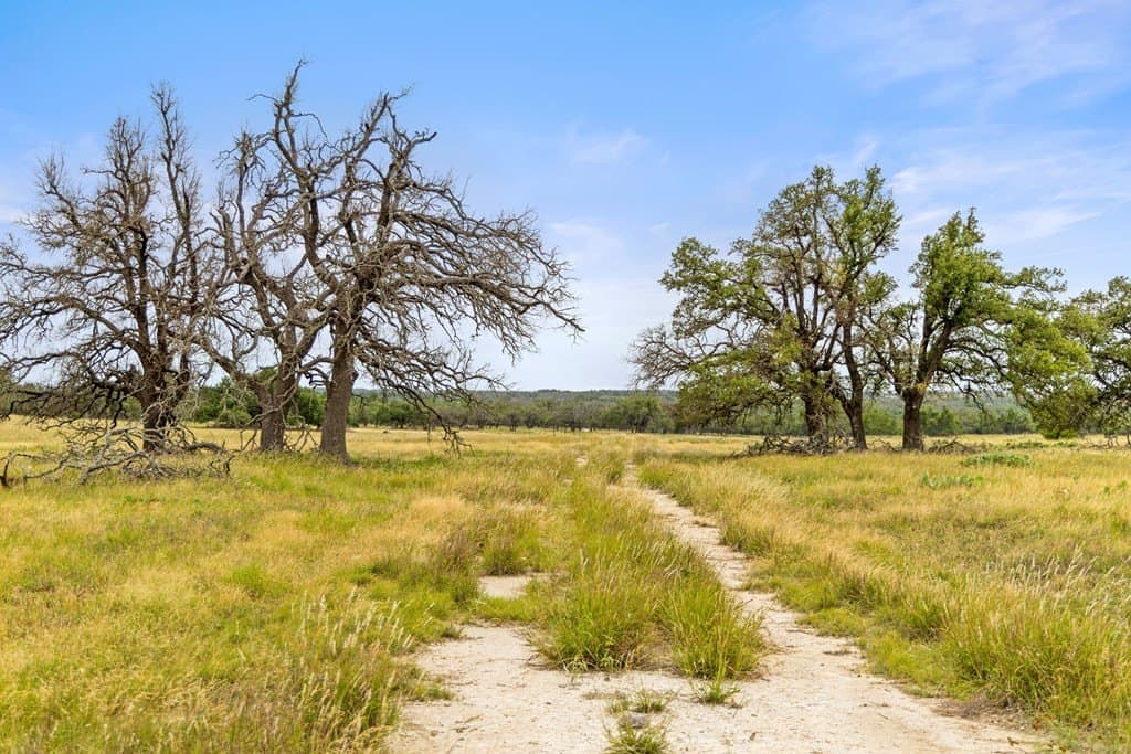 219.46 acres in Gillespie County - photo 59