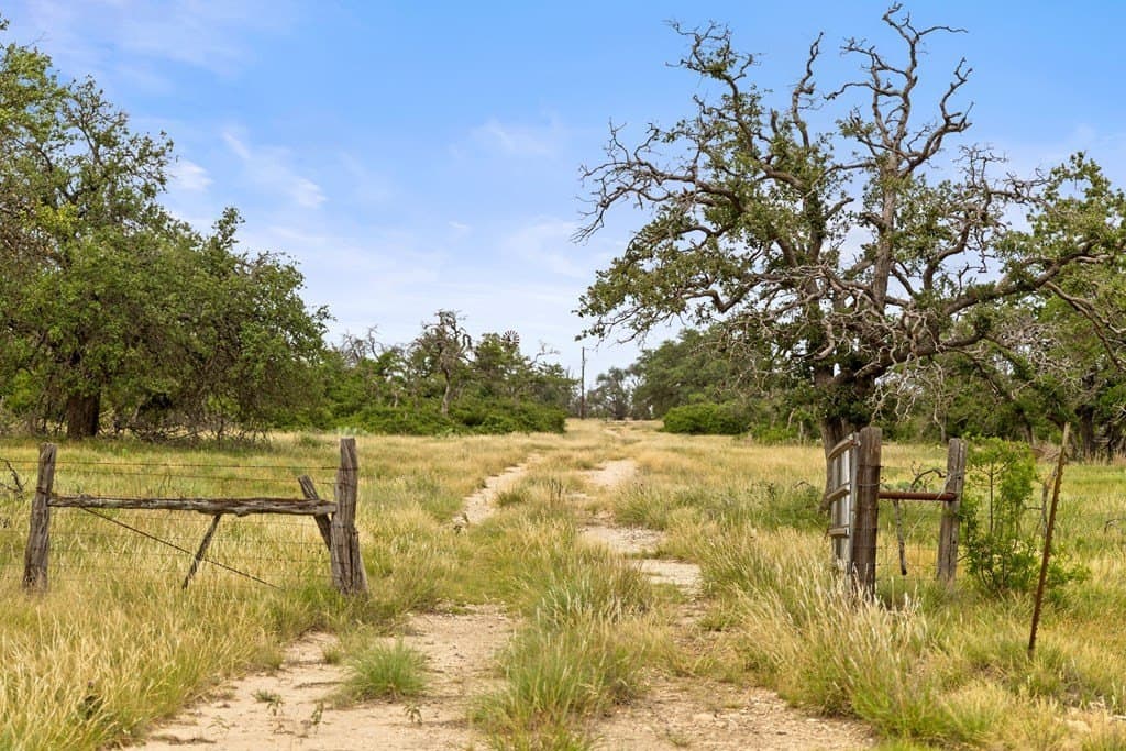 219.46 acres in Gillespie County - photo 62