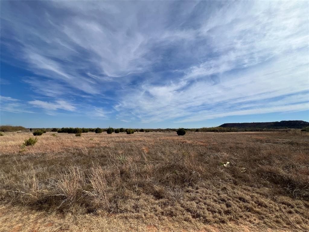 25 acres in Coleman County gallery image 3