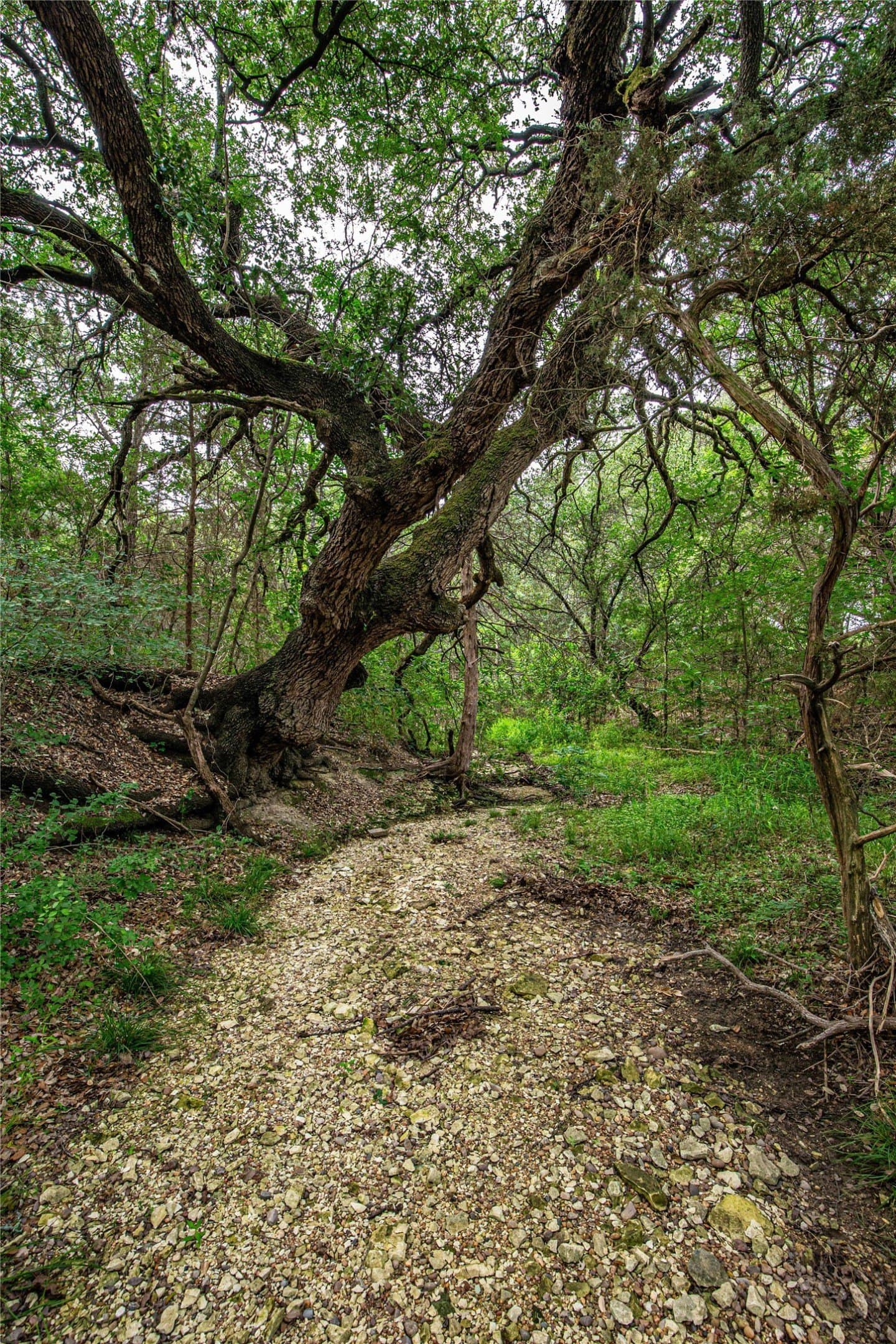 15.81 acres in McLennan County - photo 5