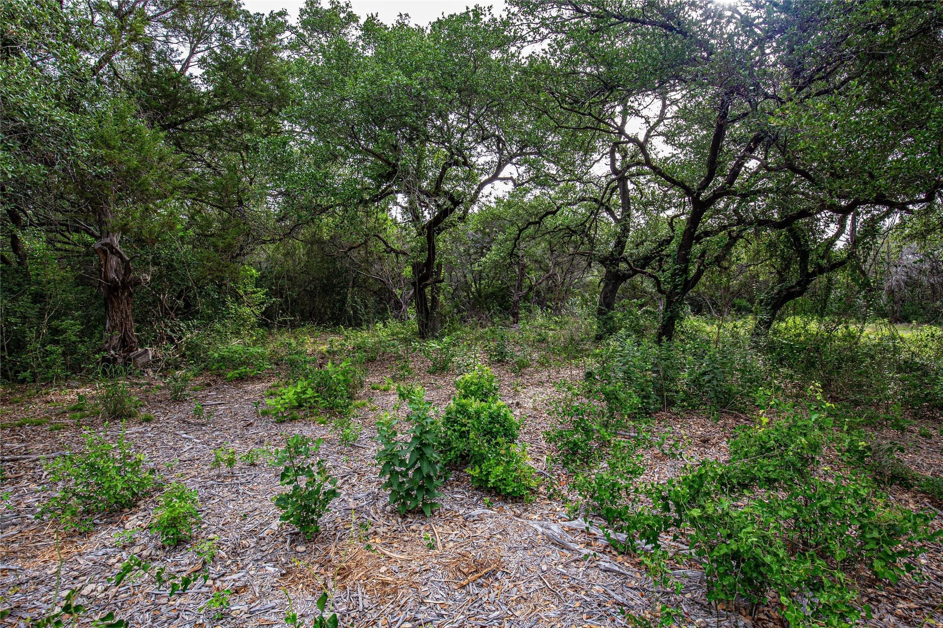 15.81 acres in McLennan County - photo 8
