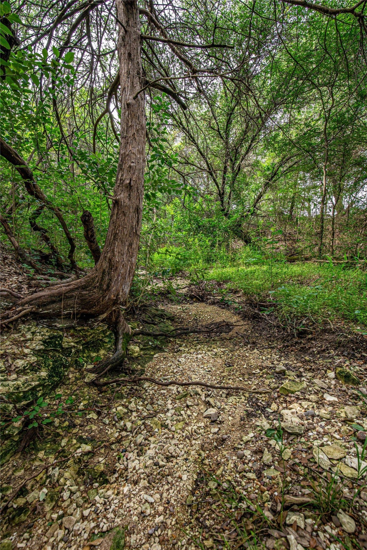 15.81 acres in McLennan County - photo 6