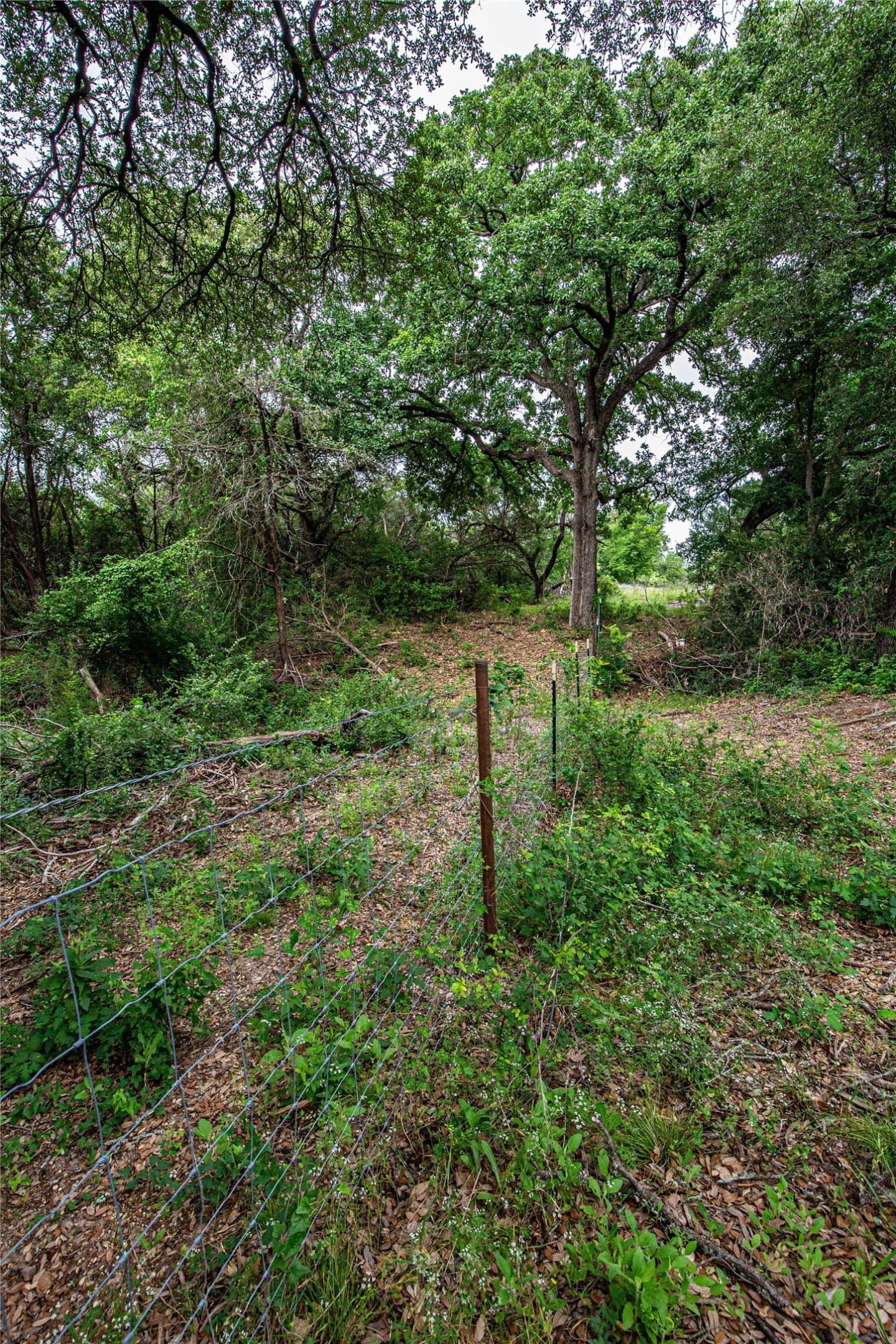 15.81 acres in McLennan County - photo 9