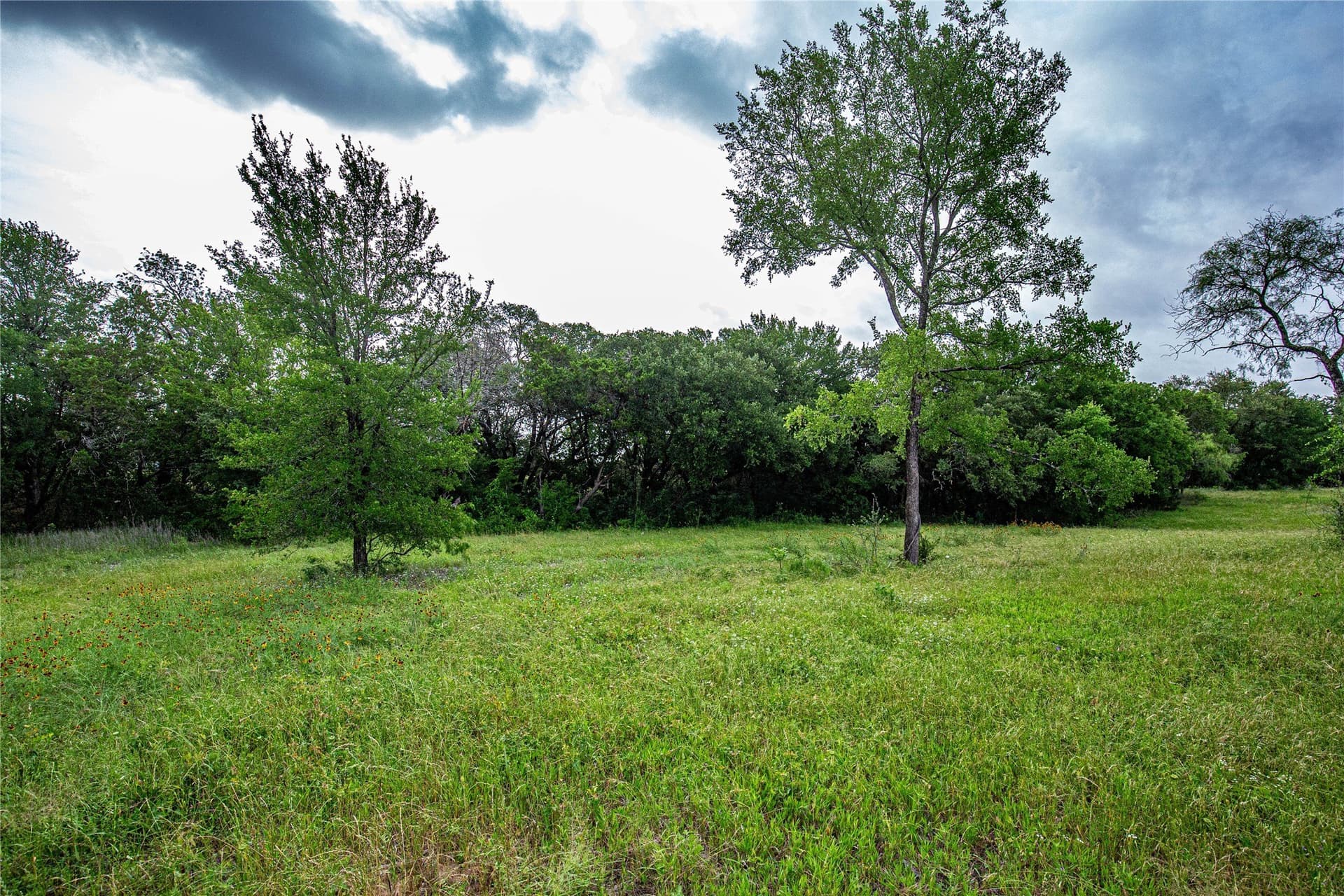 15.81 acres in McLennan County - photo 3