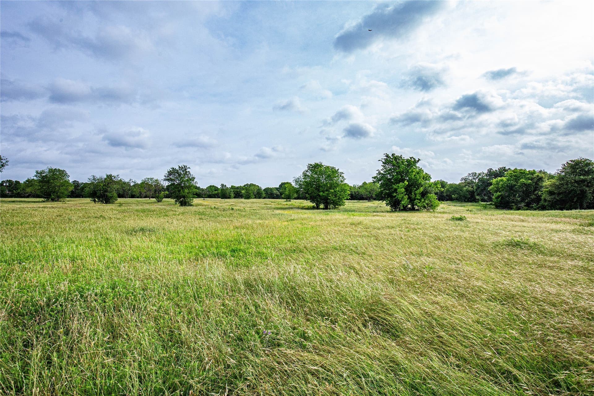 15.81 acres in McLennan County