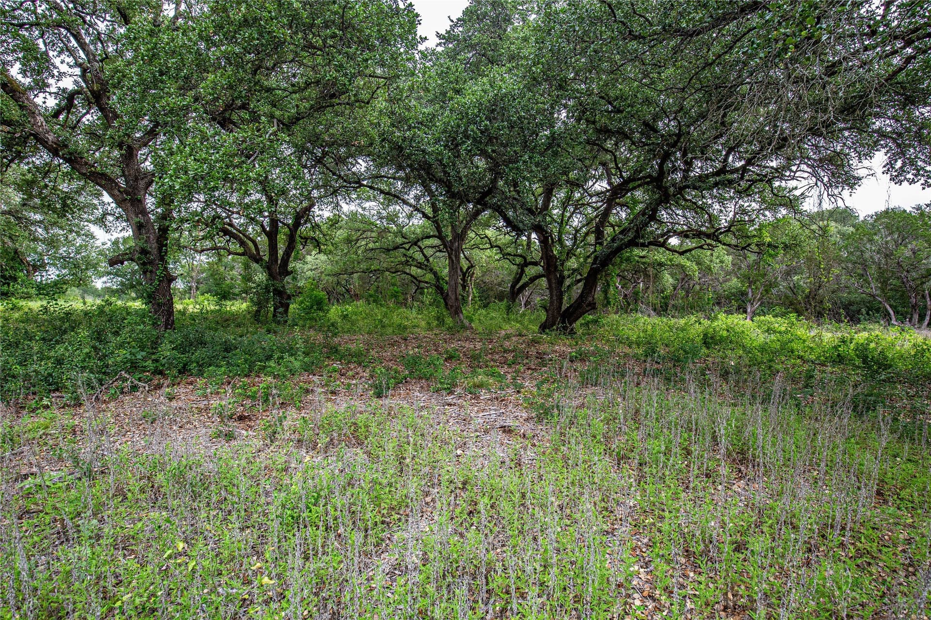 15.81 acres in McLennan County - photo 10