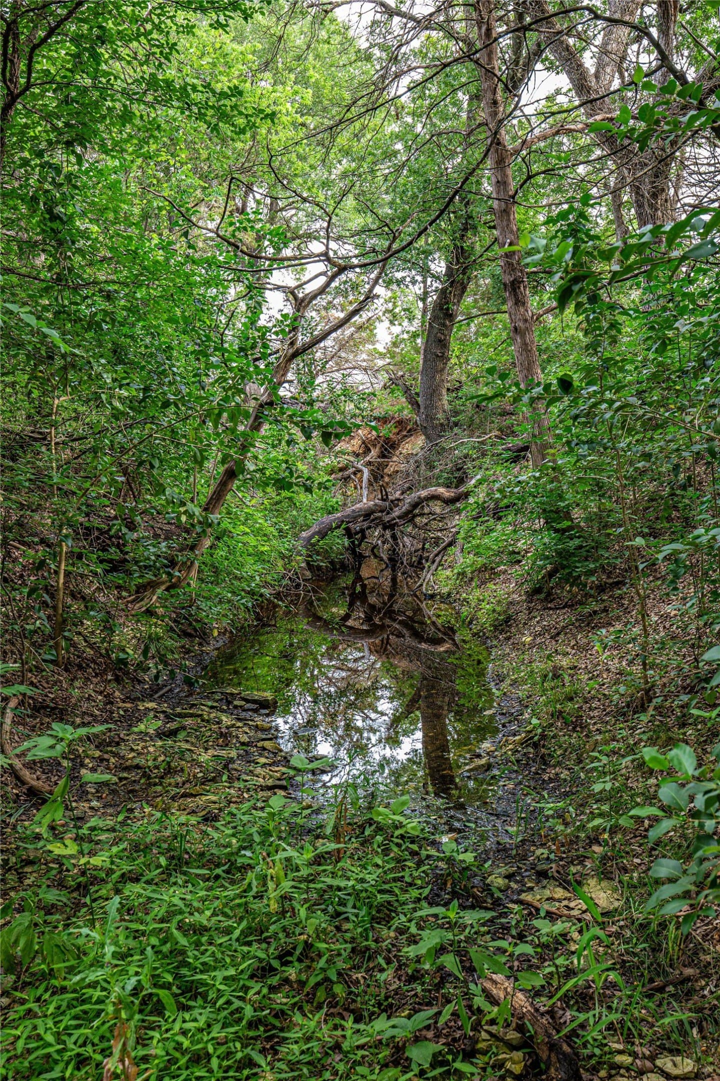 15.81 acres in McLennan County - photo 7