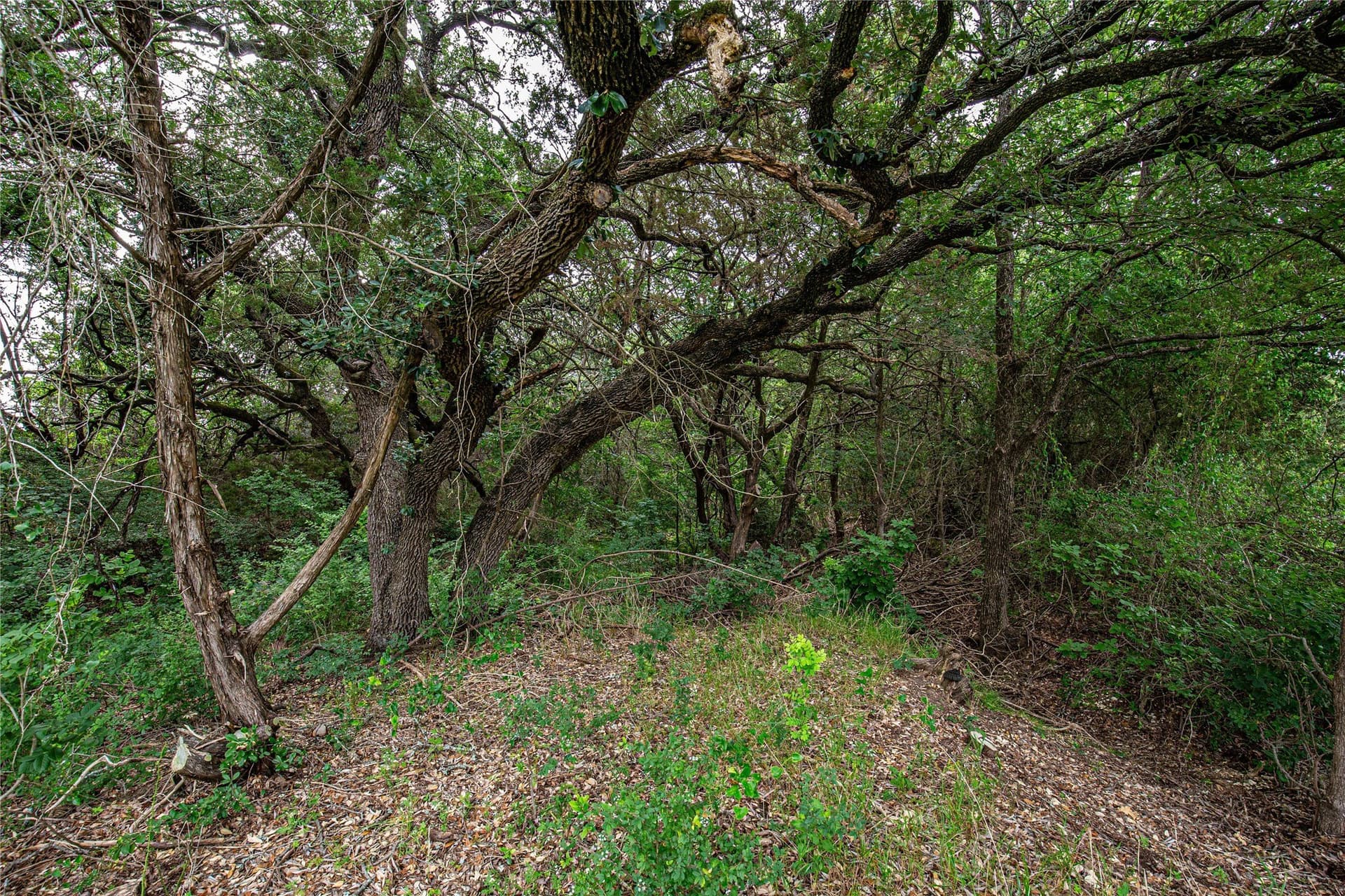 15.81 acres in McLennan County - photo 4