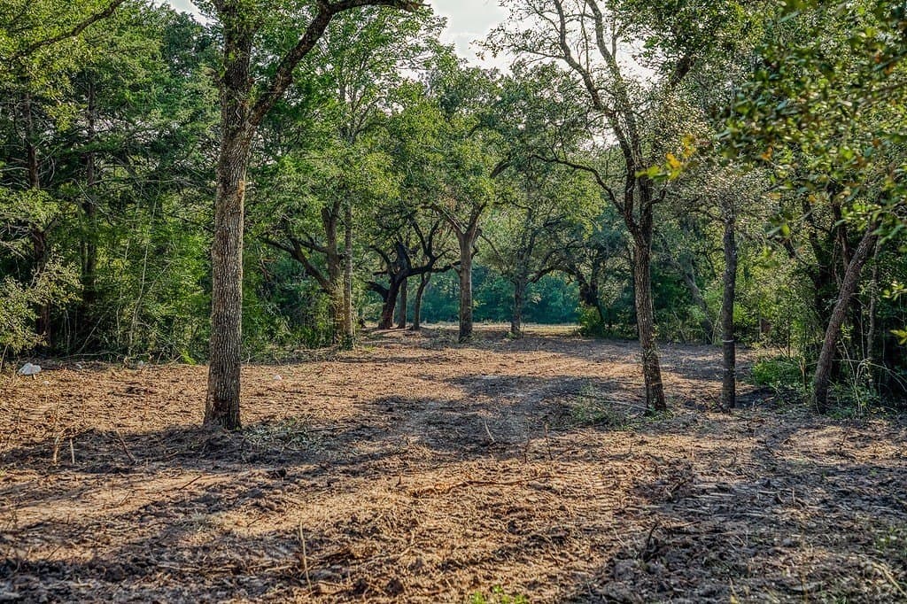 10.5 acres in Washington County - photo 28