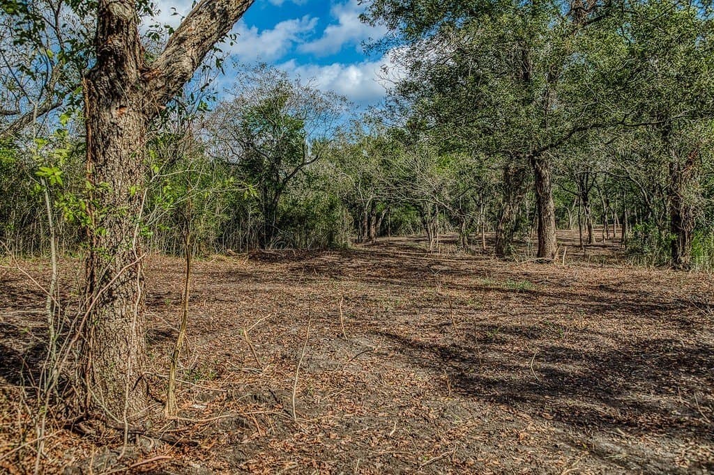 10.5 acres in Washington County - photo 13