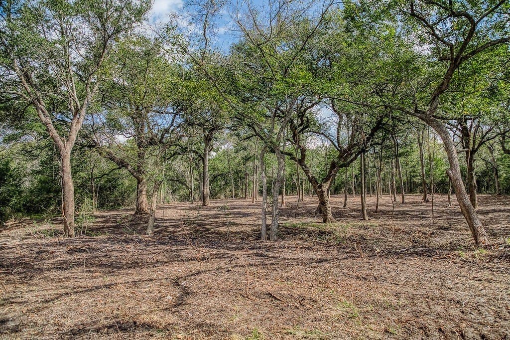 10.5 acres in Washington County - photo 8