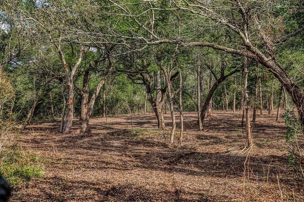10.5 acres in Washington County - photo 14