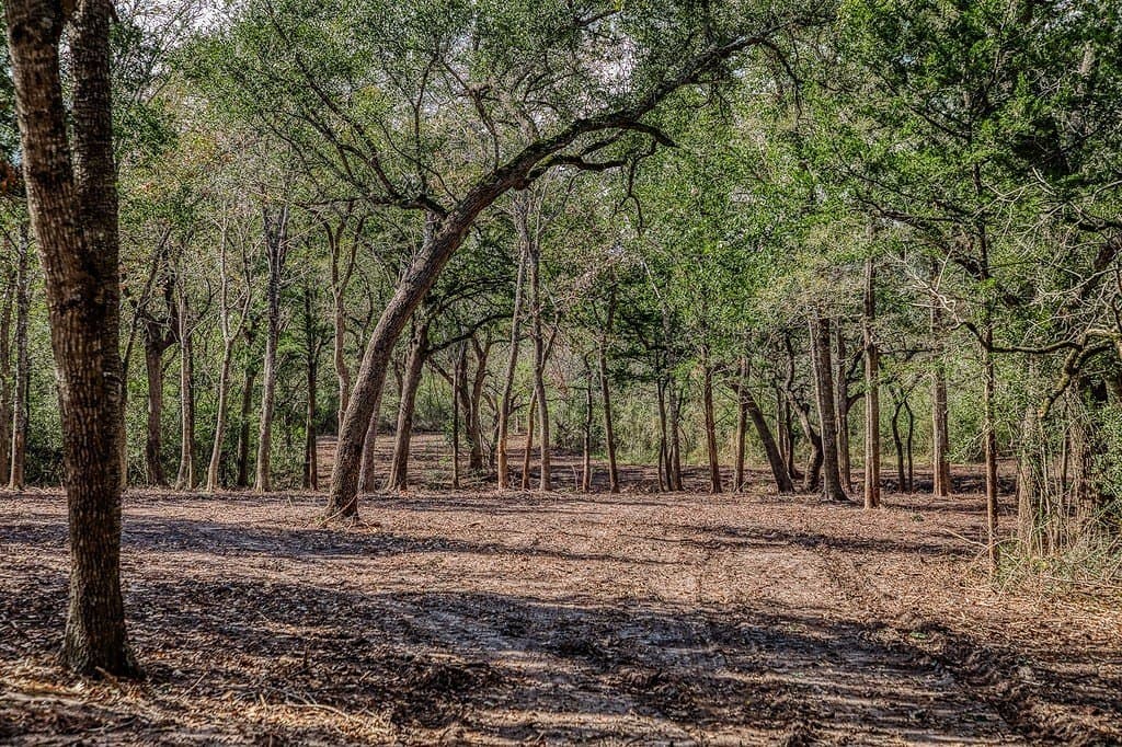 10.5 acres in Washington County - photo 22