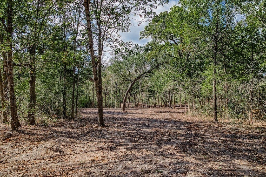 10.5 acres in Washington County - photo 23