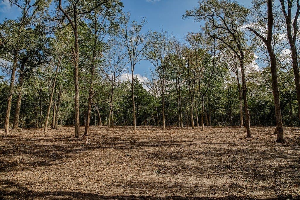 10.5 acres in Washington County - photo 20