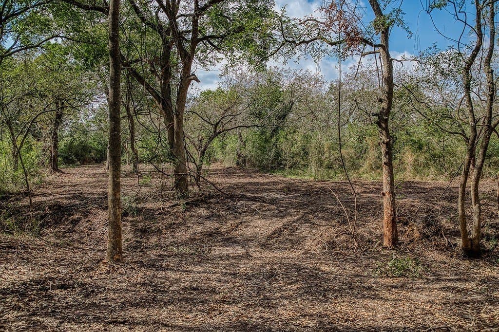 10.5 acres in Washington County - photo 19