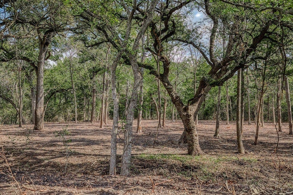 10.5 acres in Washington County - photo 7