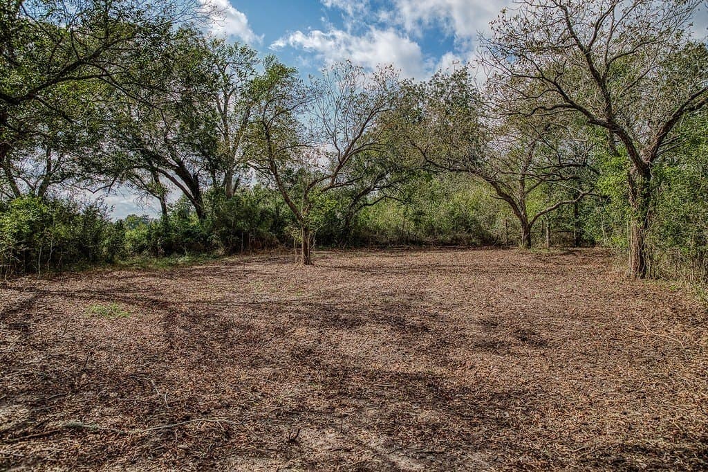 10.5 acres in Washington County - photo 15