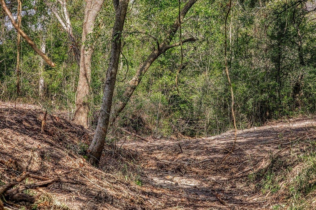 10.5 acres in Washington County - photo 16