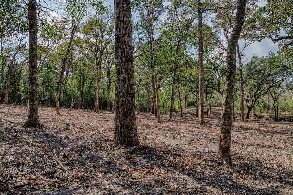 10.5 acres in Washington County - photo 21