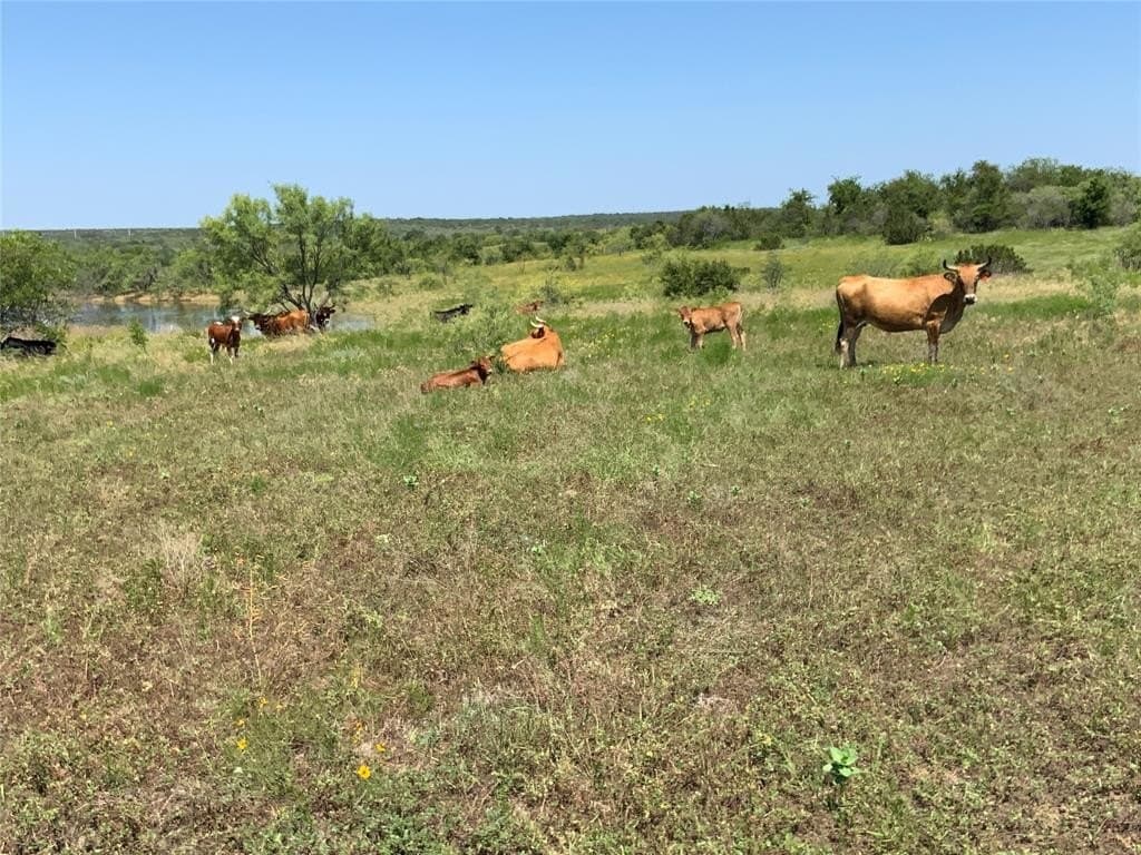 199.01 acres in Comanche County featured view