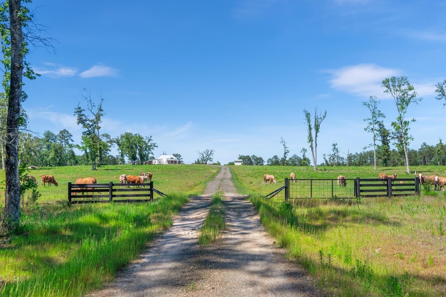 193 acres in Texas County
