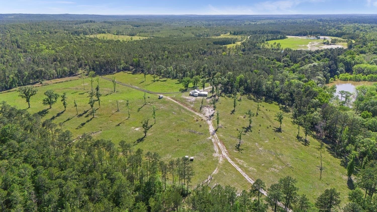193 acres in Texas County - photo 23