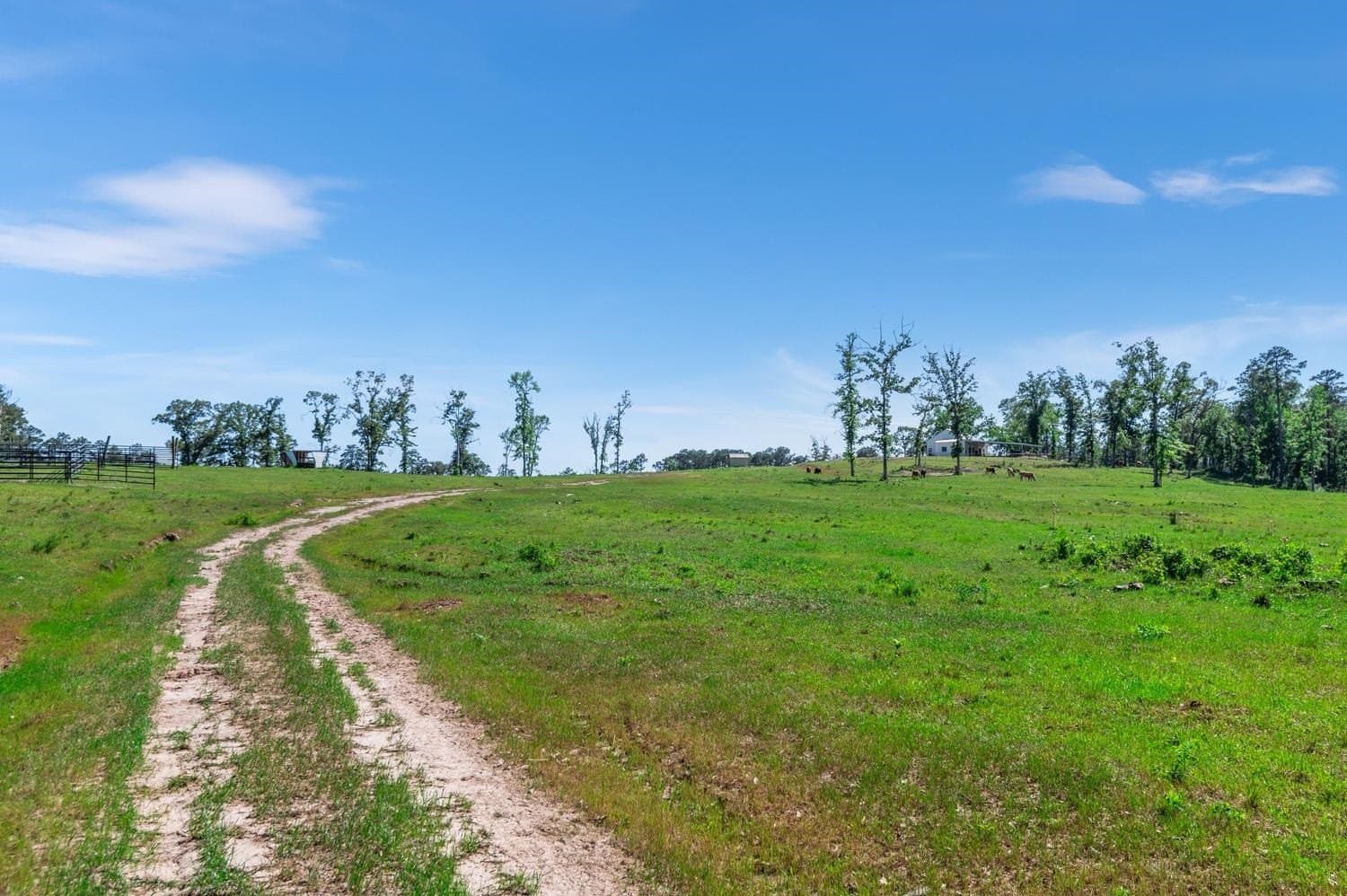 193 acres in Texas County - photo 20