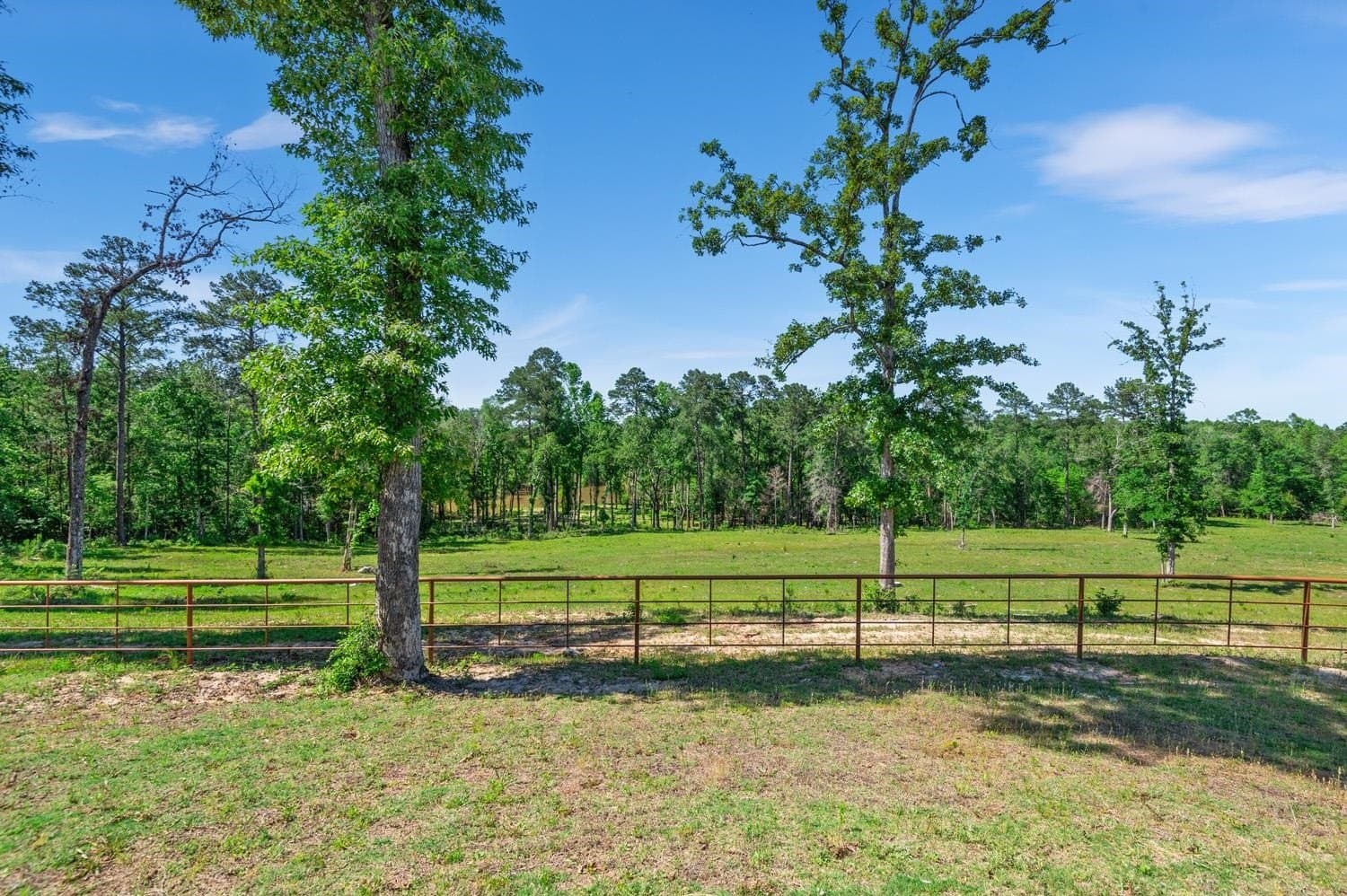 193 acres in Texas County - photo 18
