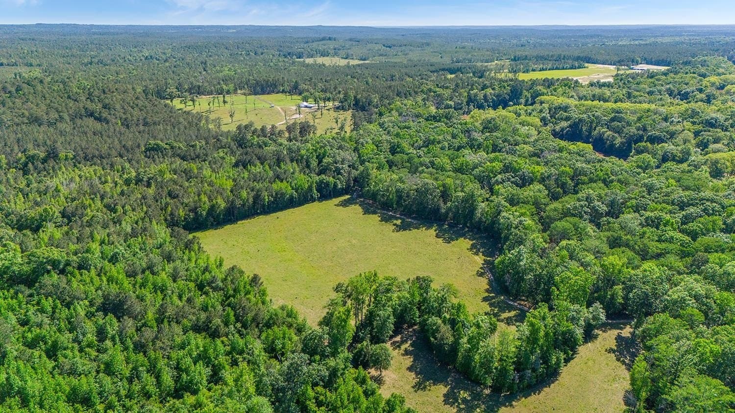 193 acres in Texas County - photo 21