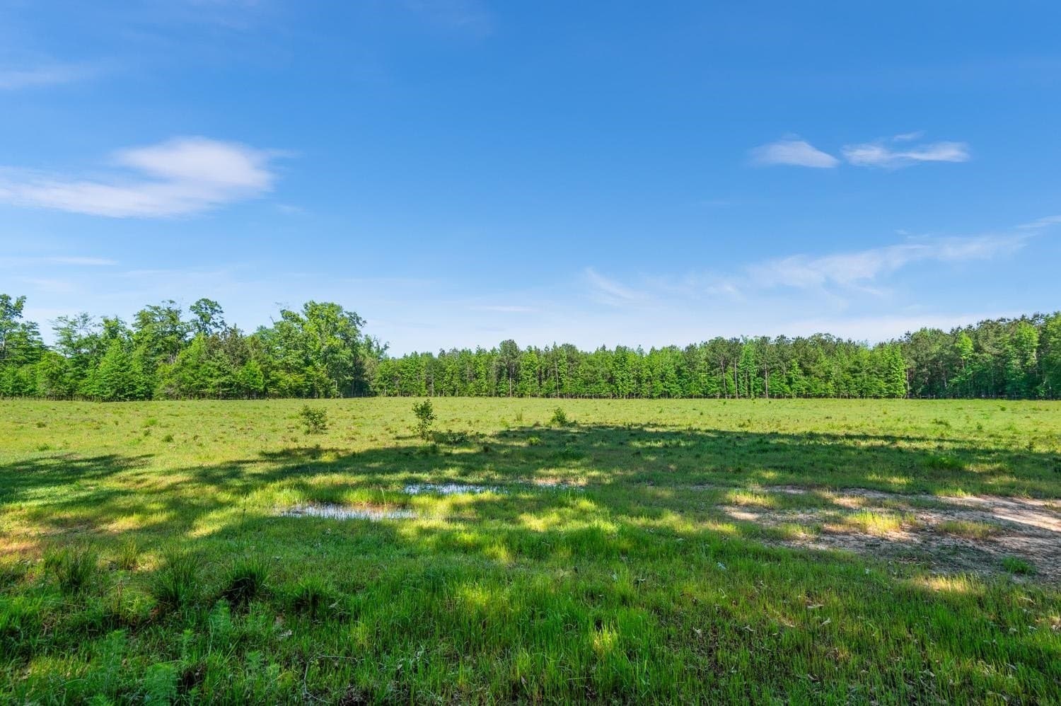 193 acres in Texas County - photo 19