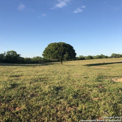 10.63 acres in Wilson County gallery image 2