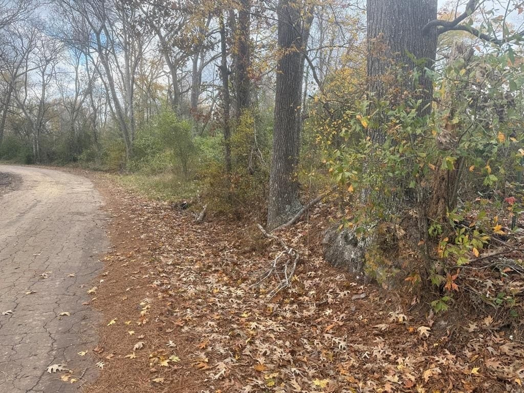 29.01 acres in Texas County featured view