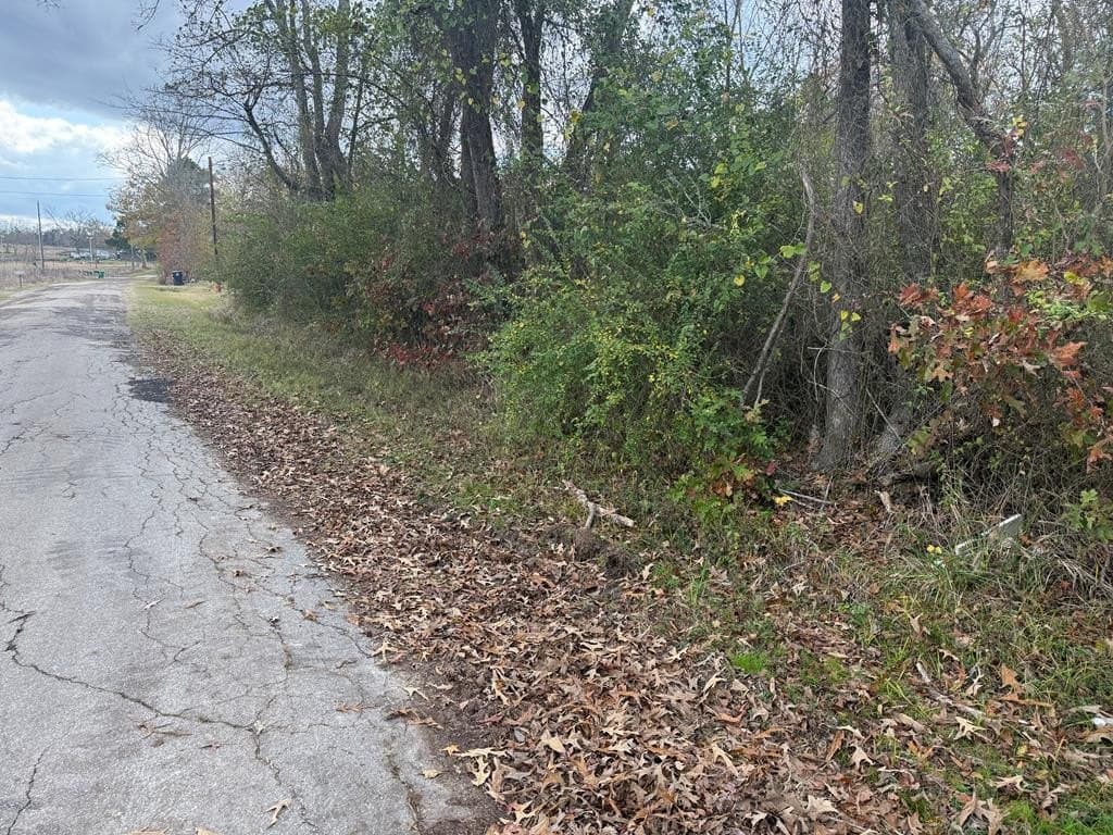 29.01 acres in Texas County gallery image 3