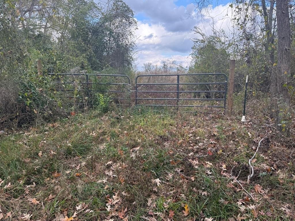 29.01 acres in Texas County gallery image 2