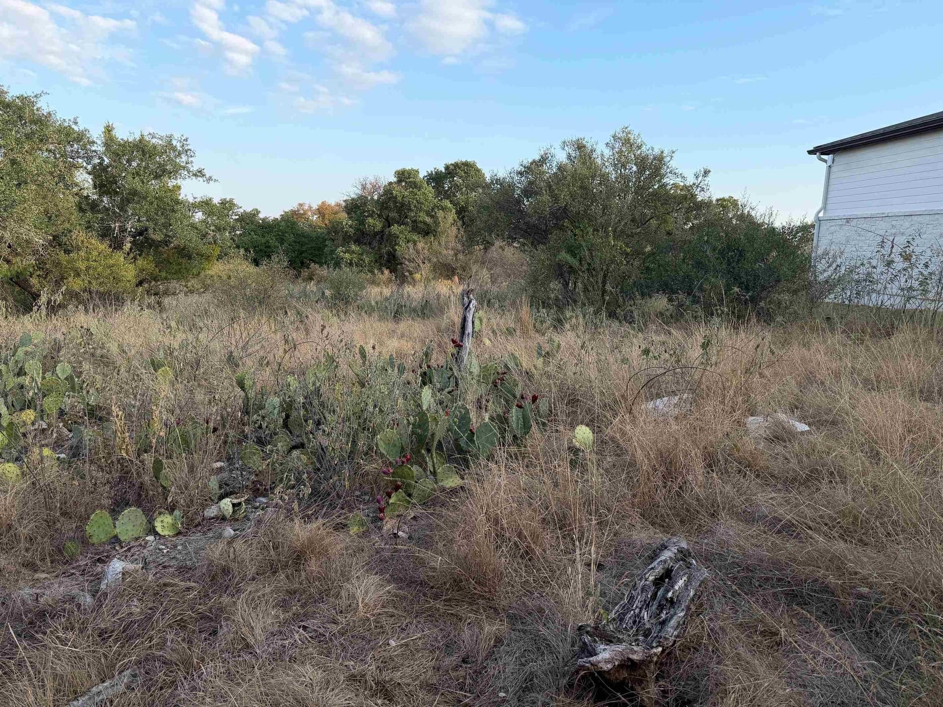 0.13 acres in Llano County gallery image 4