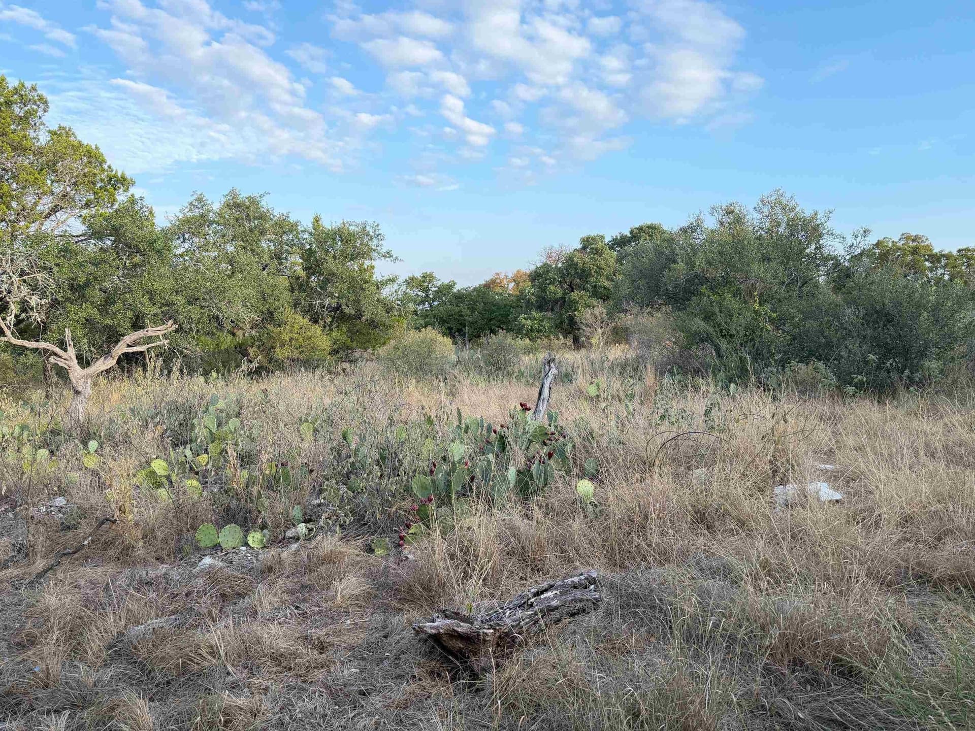 0.13 acres in Llano County featured view