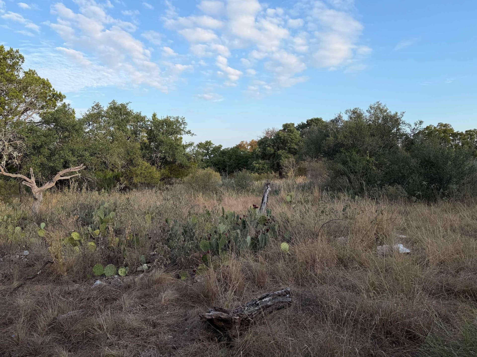 0.13 acres in Llano County gallery image 2