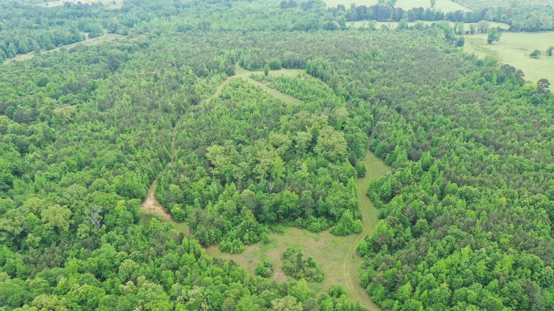 73.42 acres in Cass County gallery image 2