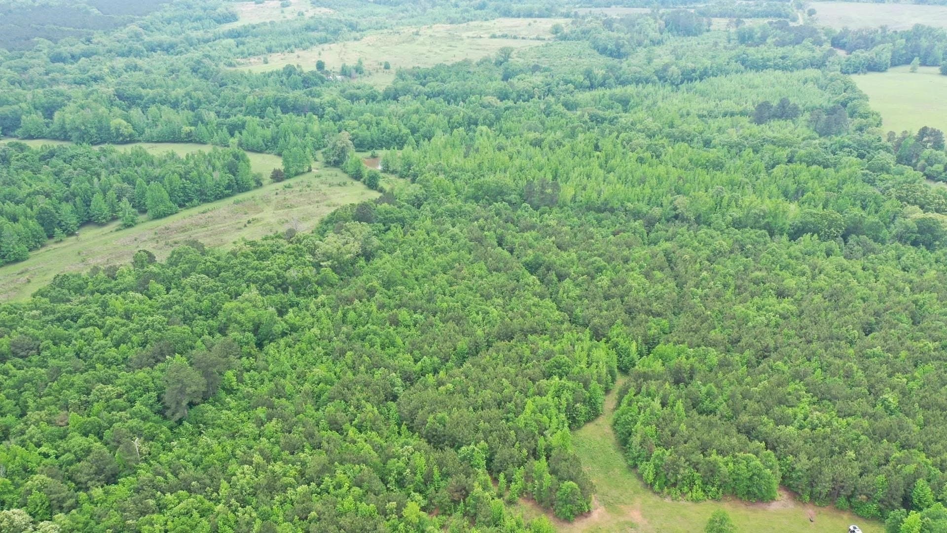 73.42 acres in Cass County gallery image 3