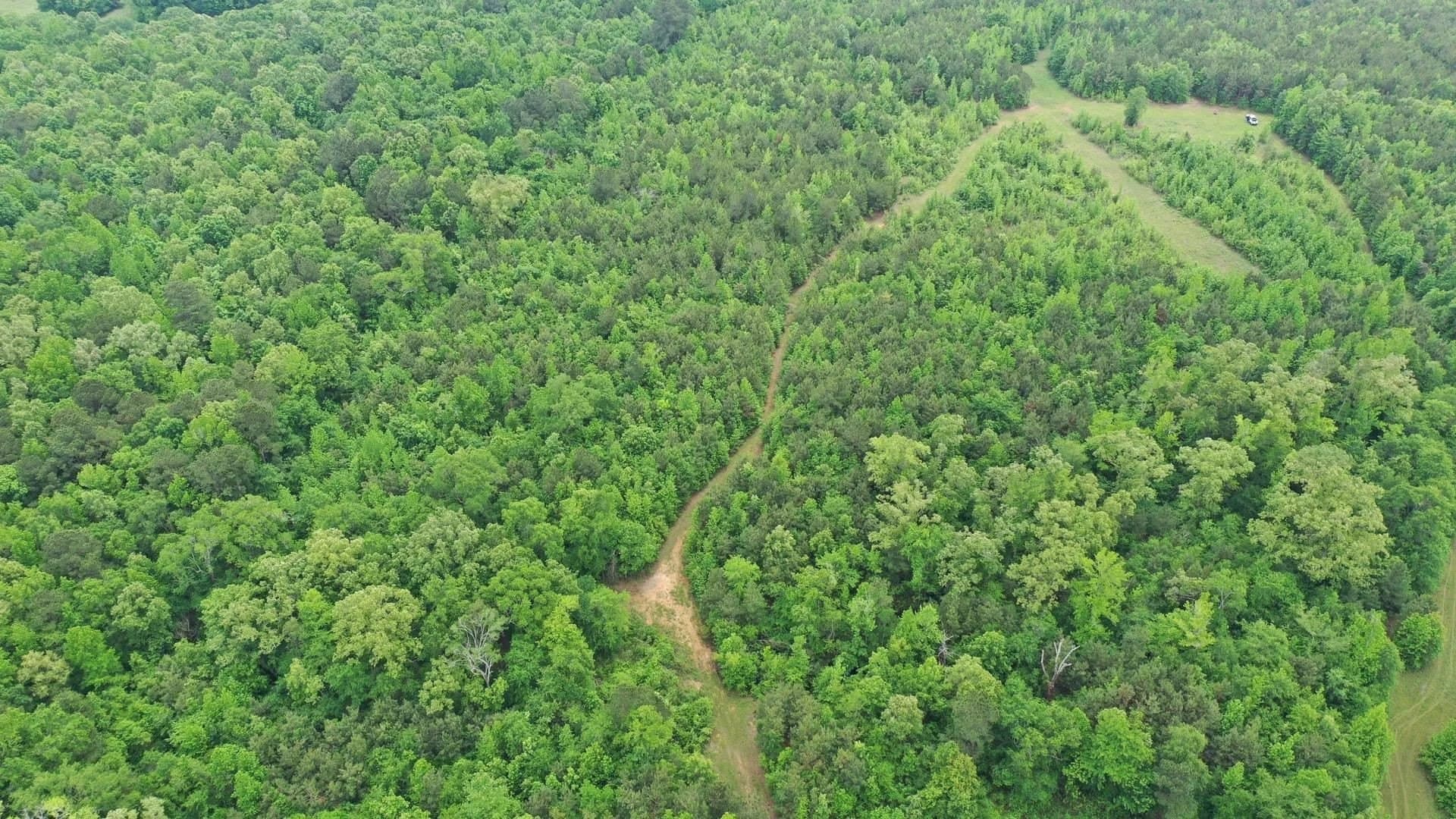 73.42 acres in Cass County featured view